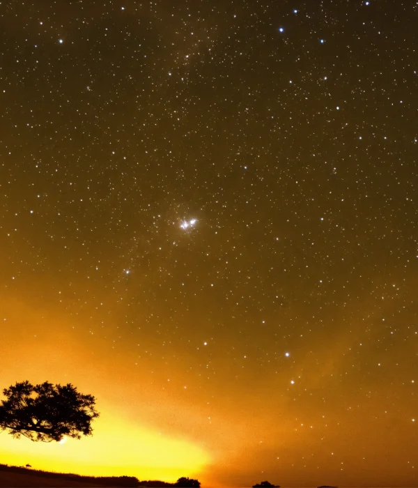 04bd4033-10de-4ff7-8b2d-c928e7e589fd