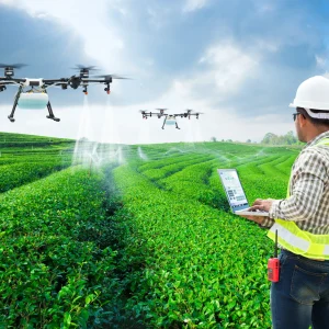 dbb578-704c-e412-bc18-c65cceb688a6_Depositphotos_354780720_XL_1_