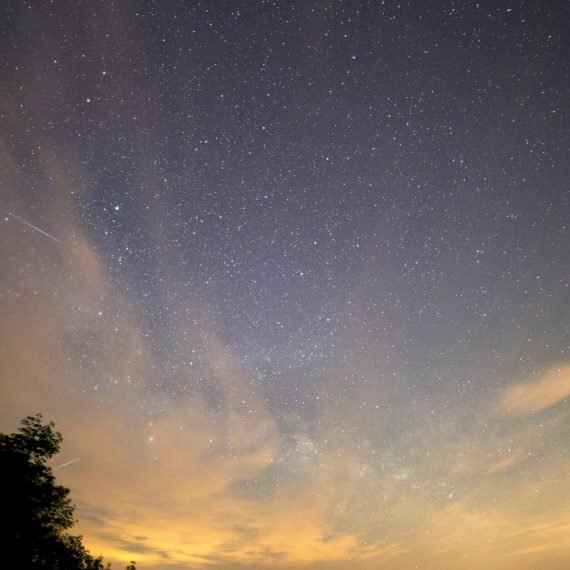 pexels-free-nature-stock-7119