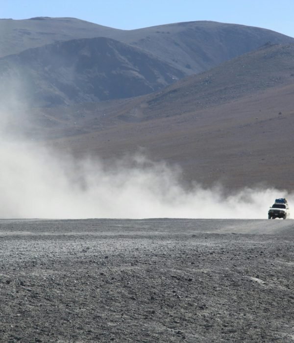 pexels-lalejand-6463819