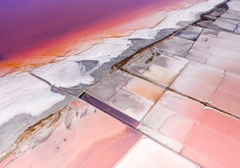 pexels-mikhail-nilov-8414027