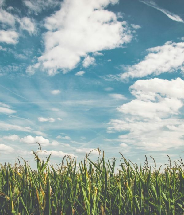 pexels-pixabay-158827